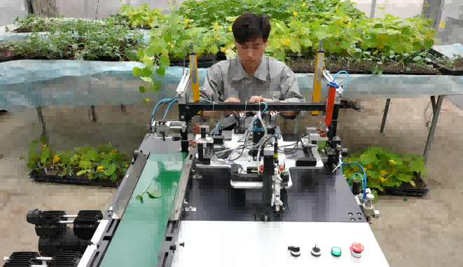 Vegetable transplanter cover